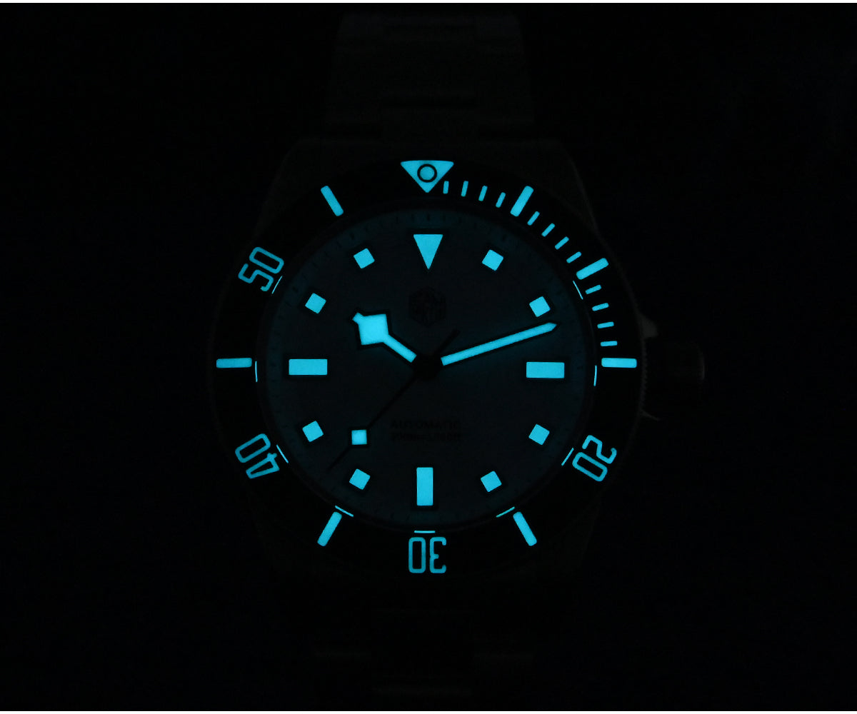 ★US Warehouse★Watchdives x San Martin Titanium 39mm Dive Watch SN0121T-GA