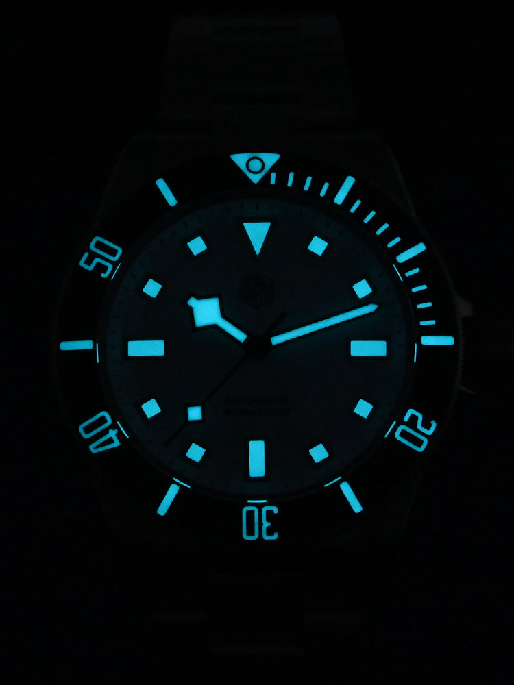 ★US Warehouse★Watchdives x San Martin Titanium 39mm Dive Watch SN0121T-GA