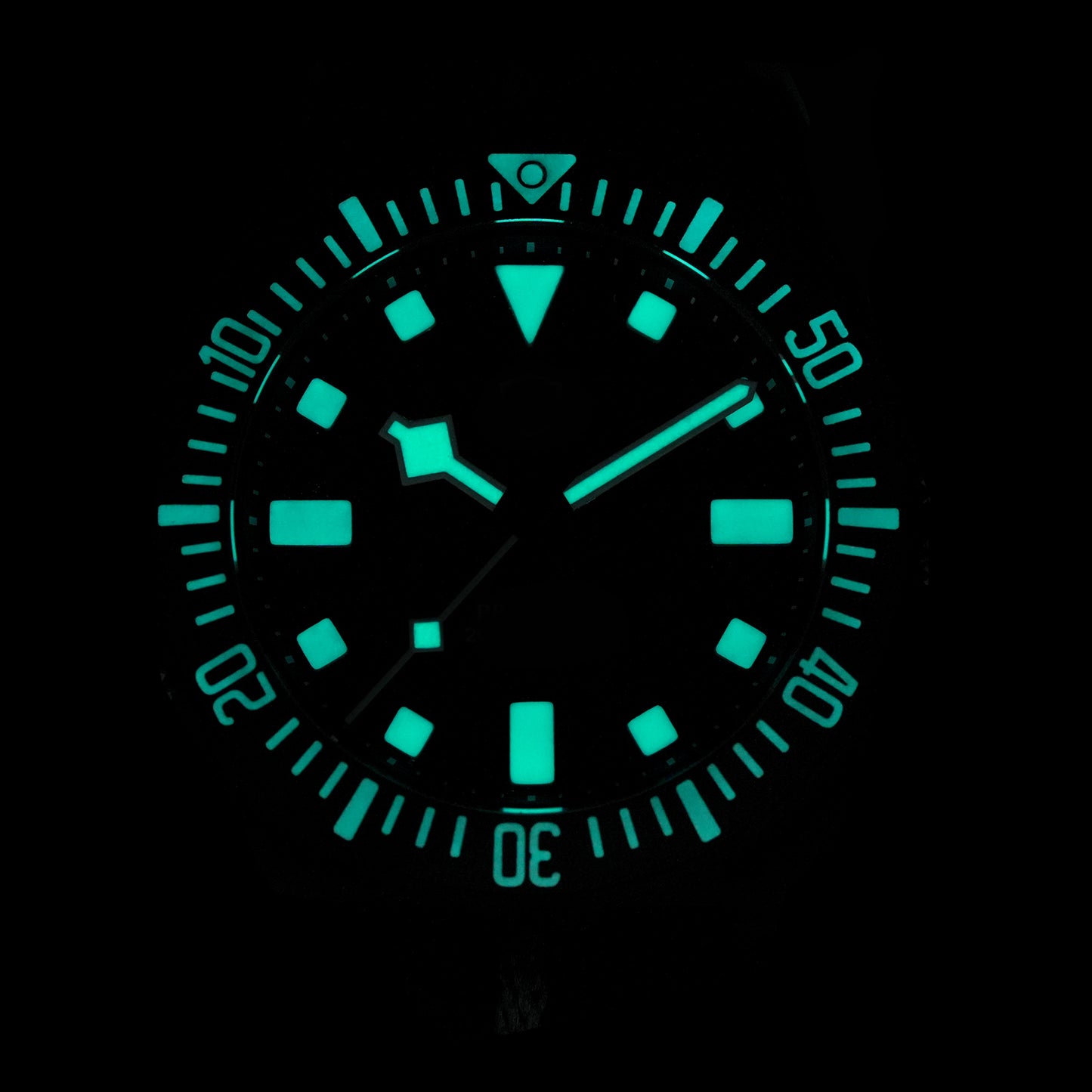 Watchdives 38mm EXD Titanium Diver Watch