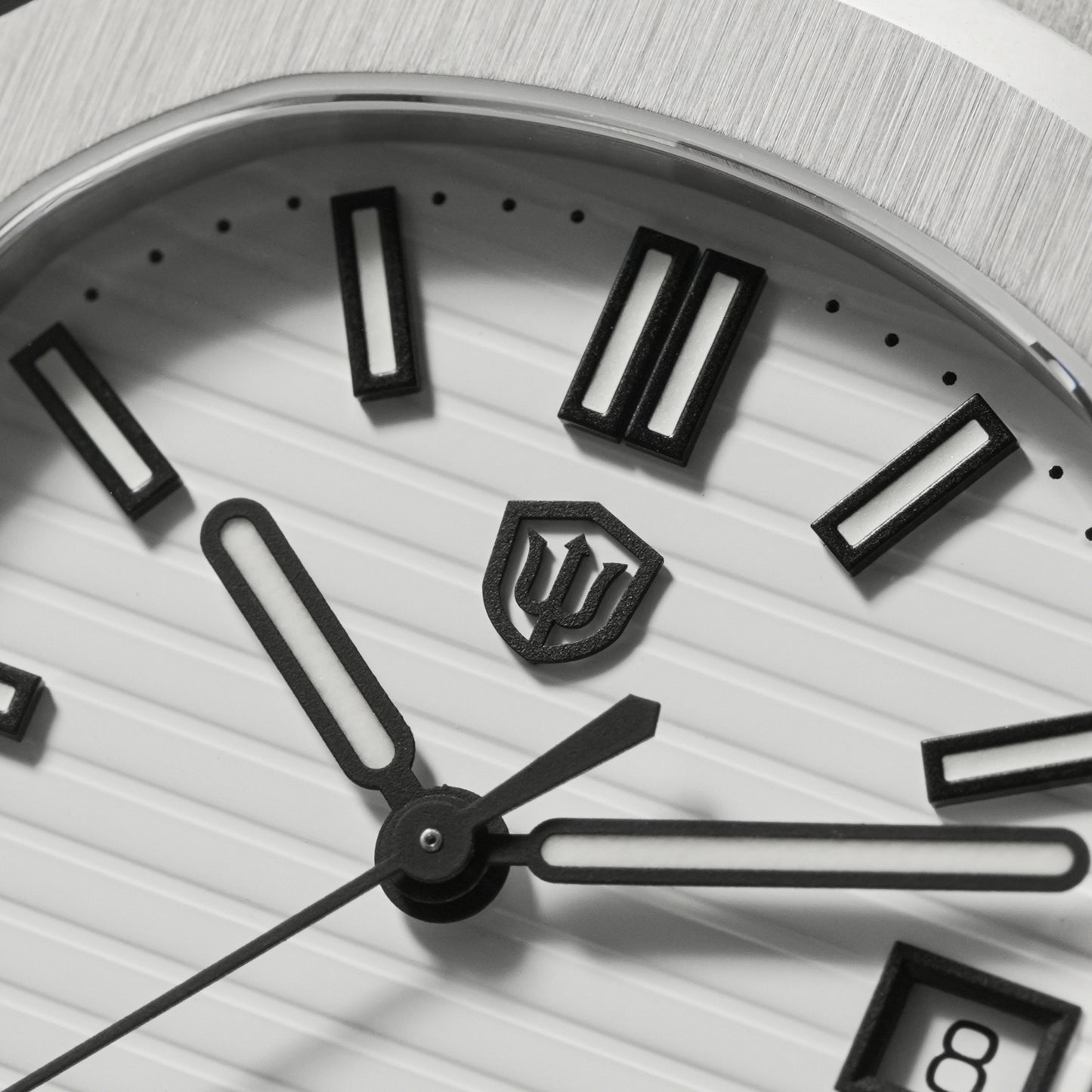 Watchdives WD0013B ETA HAQ F06.41 Men Watch