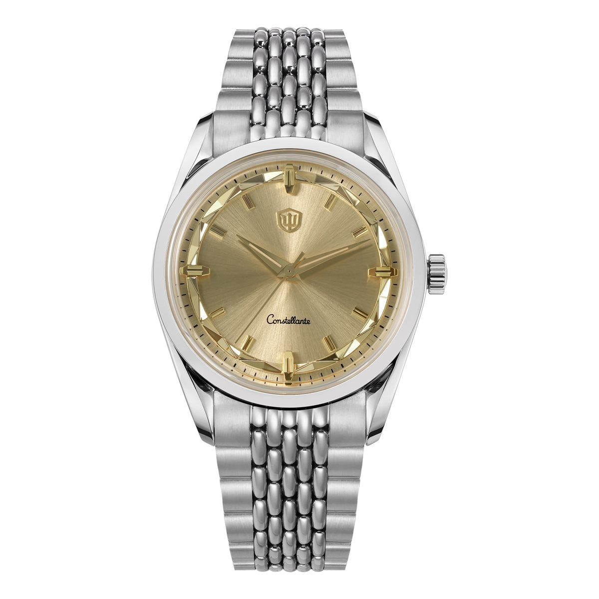 Watchdives WD1954 Arctic Classic 36mm VH31 Watch