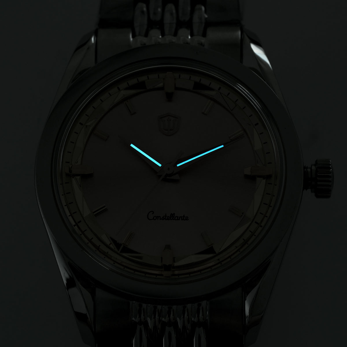 Watchdives WD1954 Arctic Classic 36mm VH31 Watch