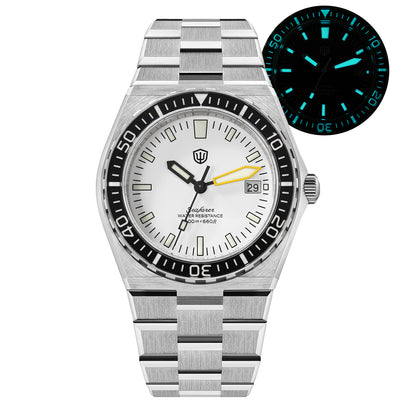 Watchdives Premier WD0017C VH31/Ronda 515 Diver Watch