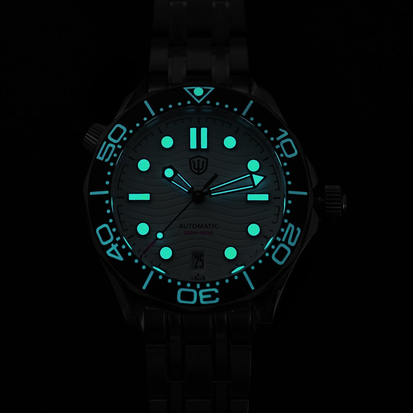 🔥WeeklyDeals🔥Watchdives WD007ST 39mm NTTD Dive Watch