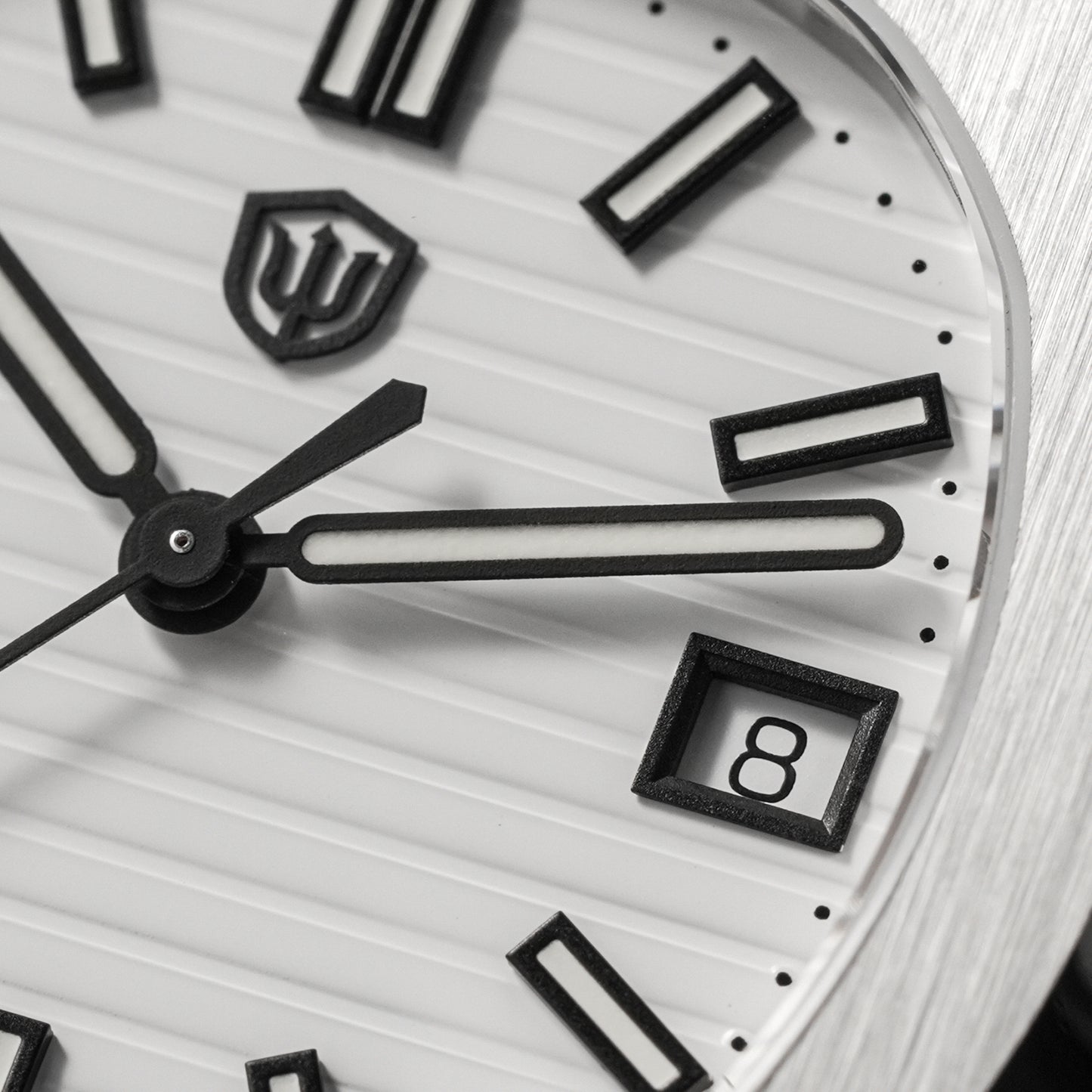 Watchdives WD0013B ETA HAQ F06.41 Men Watch