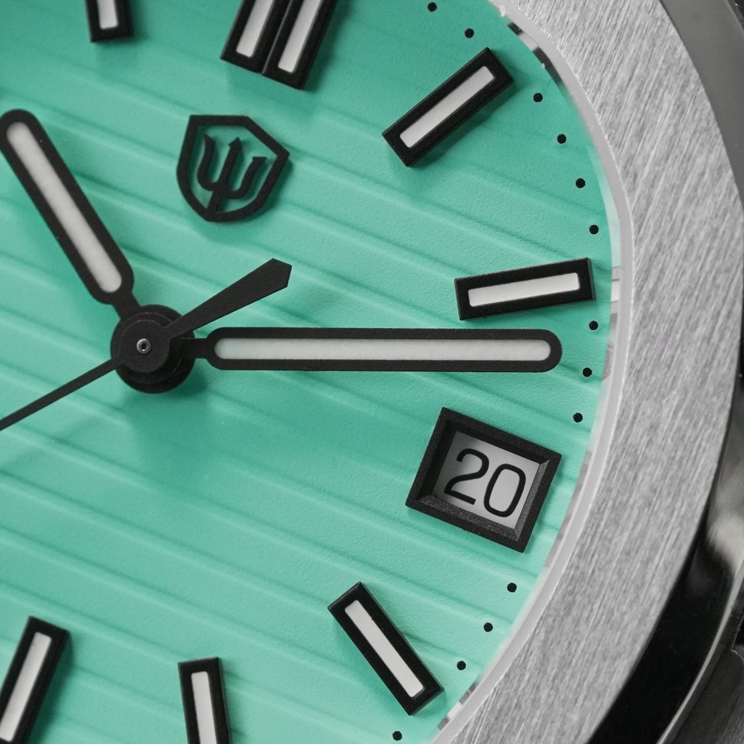 Watchdives WD0013B ETA HAQ F06.41 Men Watch