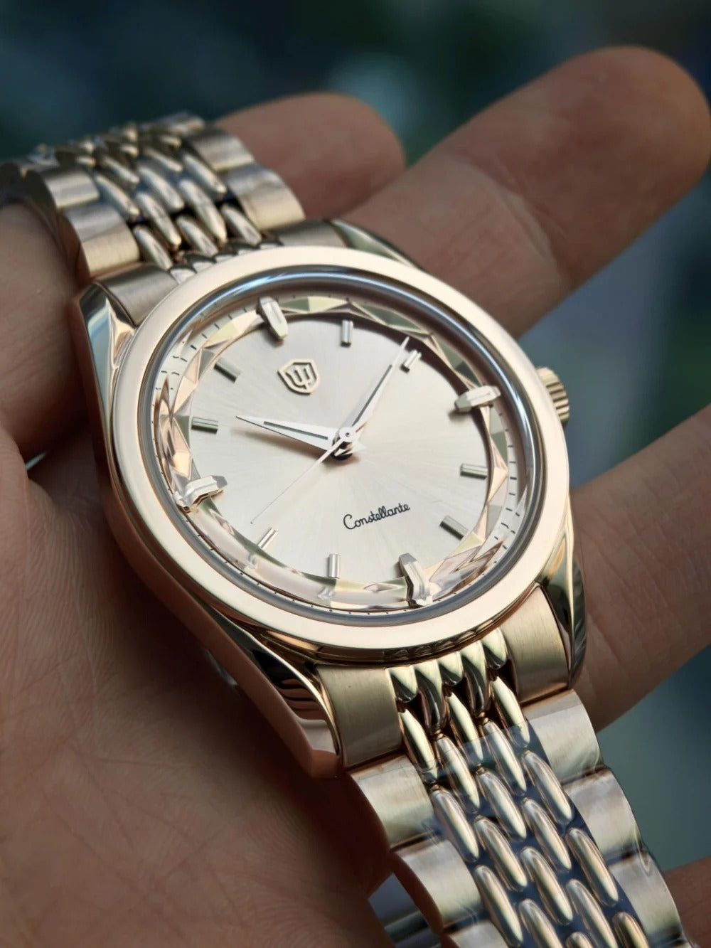 Watchdives WD1954 Arctic Classic 36mm VH31 Watch